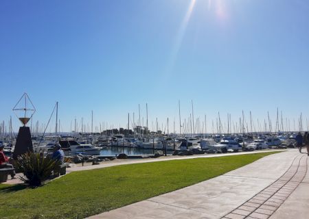 A marina with numerous sailboats, a walkway, green grass, a monument on the left, and a sunny, clear sky above.