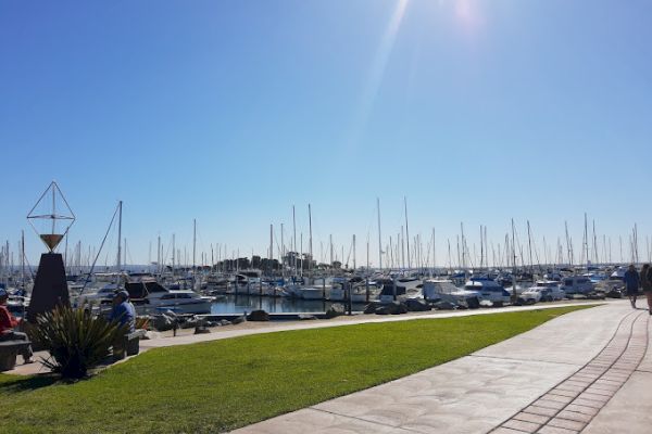 A marina filled with yachts and boats docked at piers, with a clear blue sky and sunlight. A walkway and grassy area are also visible.