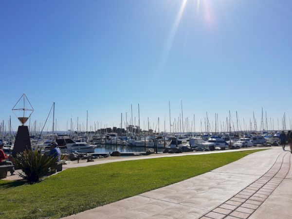A marina filled with yachts and boats docked at piers, with a clear blue sky and sunlight. A walkway and grassy area are also visible.