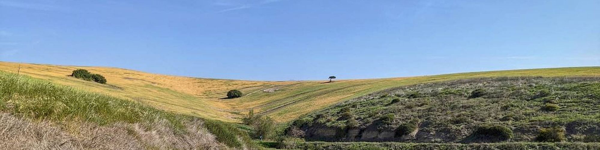 A dirt path winds through grassy hills under a clear blue sky. The landscape appears green and serene, with sparse vegetation along the trail.